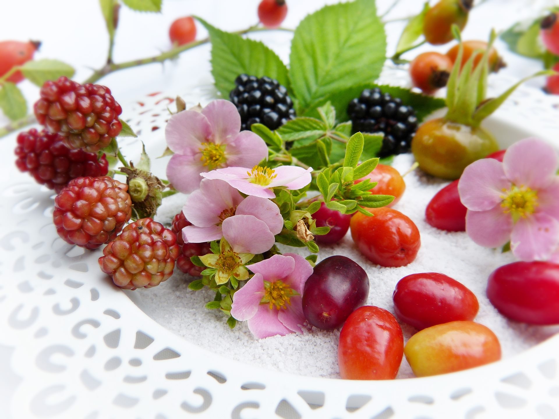 Polyphenole: Natürliche Schutzstoffe aus Pflanzen für Gesundheit und Langlebigkeit